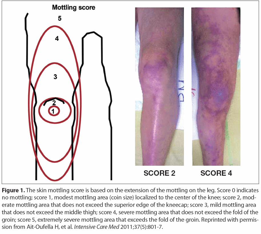 download essential results of functional